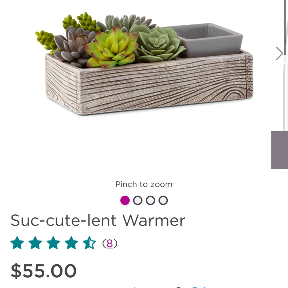 Scentsy Rustic Wood and Green Succulent Warmer